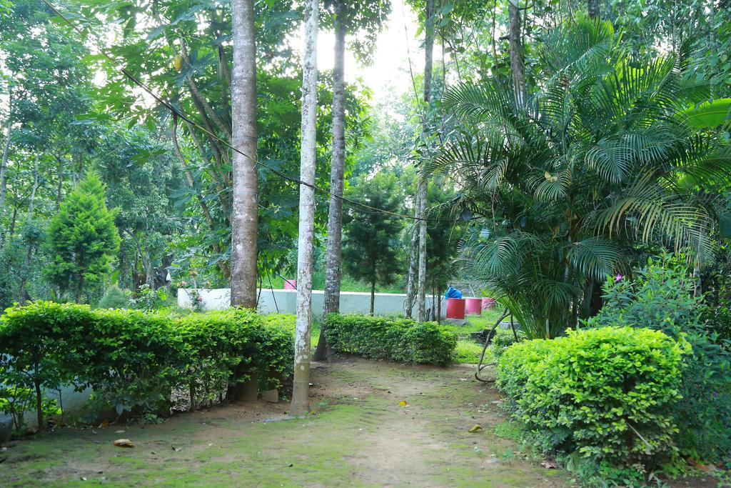 Philip Mary Farm Stay 테카디 외부 사진