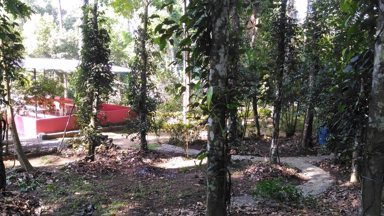 Philip Mary Farm Stay 테카디 외부 사진