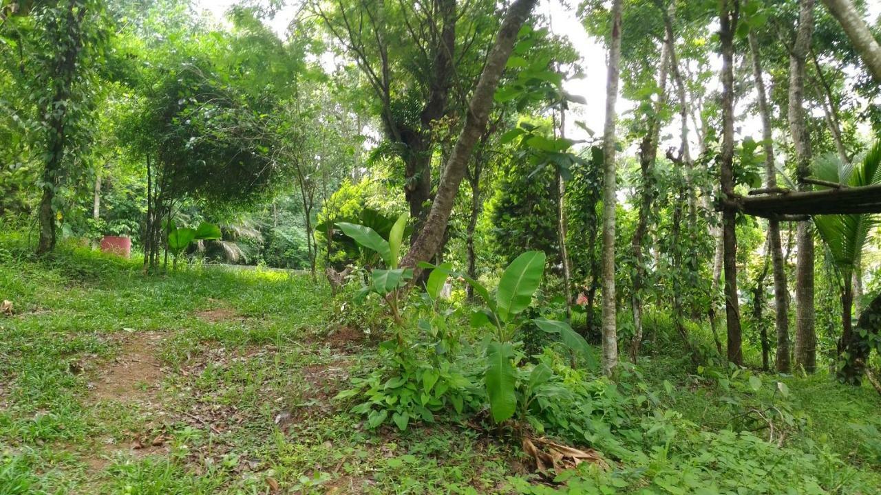 Philip Mary Farm Stay 테카디 외부 사진